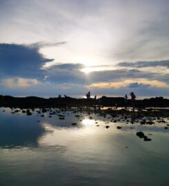 Pemberton Campground