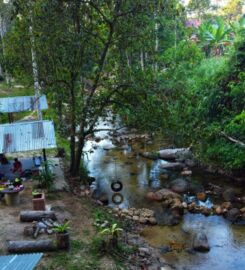 Dusun Lata Bayu Campsites