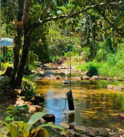 Dusun Lata Bayu Campsites