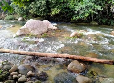 Kawasan Perkelahan Lubuk Buluh