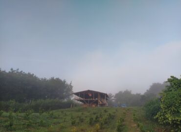 Kesang Farm
