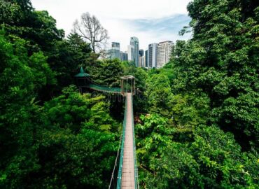 KL Forest Eco Park