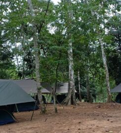 Glamping at Kongkoi