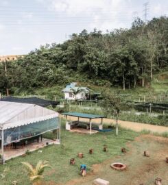Lolo Mike’s Eco Farm @ Kerling