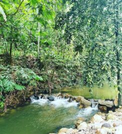 Moon Kissed By The River