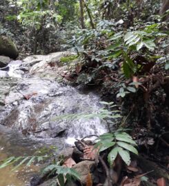 Kem Bayu Rimba